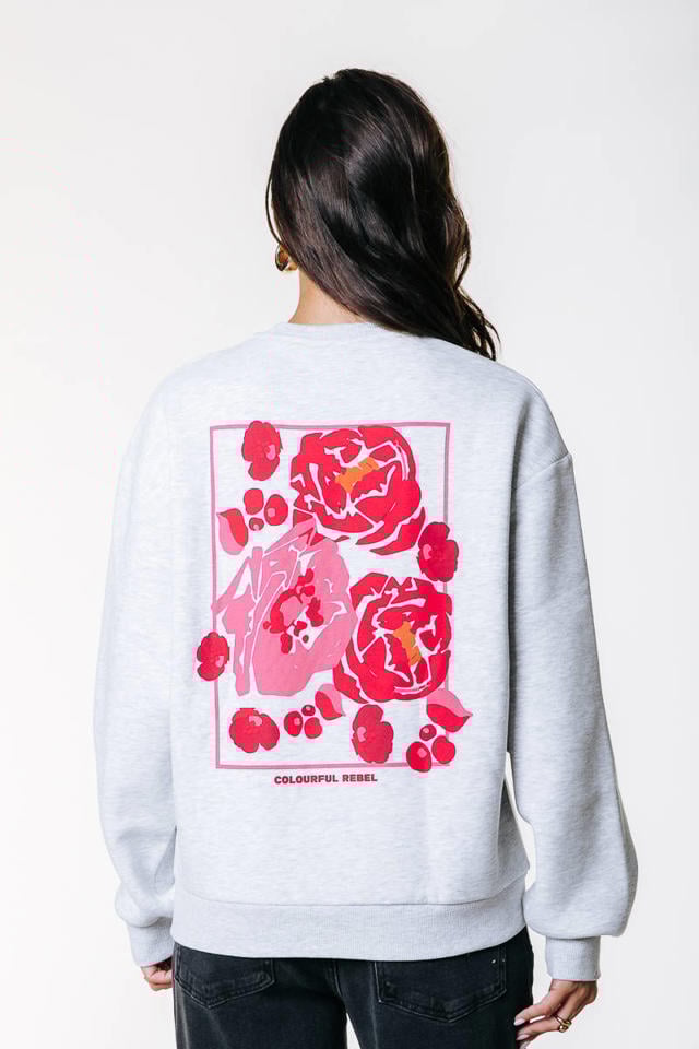 Kledingwinkel Colourful Rebel Sweater Dames Sweatshirt Zalando