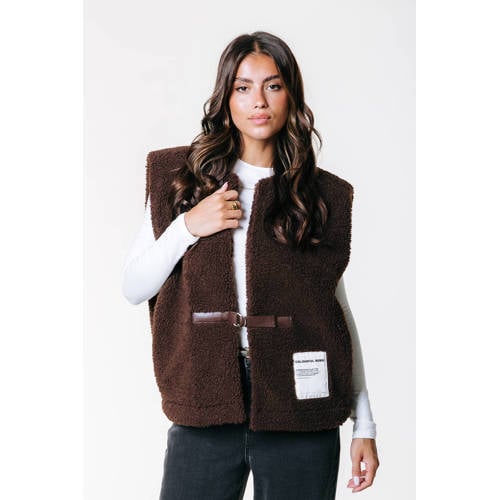 Colourful Rebel teddy gilet bruin afbeelding