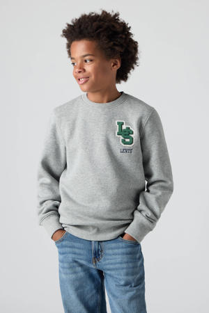 sweater grijs