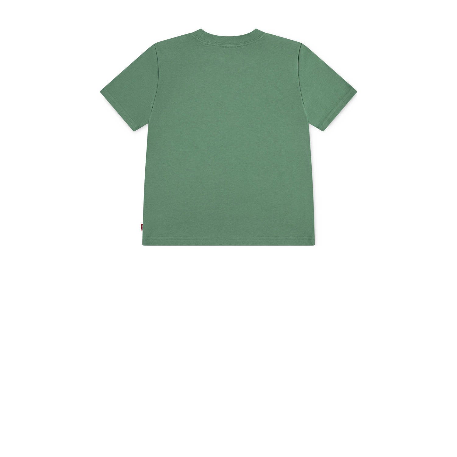 Levi's T-shirt groen broderie