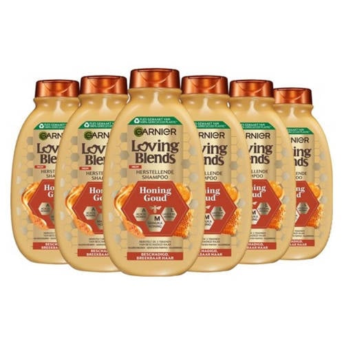 Garnier Loving Blends Honing Goud shampoo - 6 x 300 ml - voordeelverpakking afbeelding