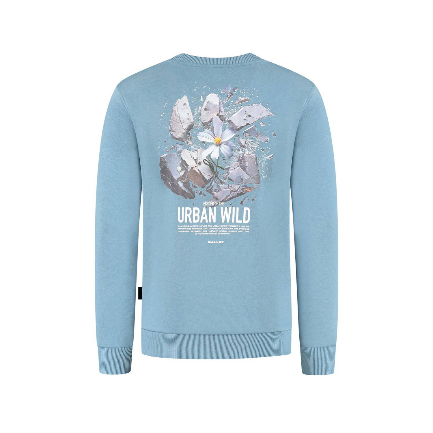 Ballin sweater lichtblauw