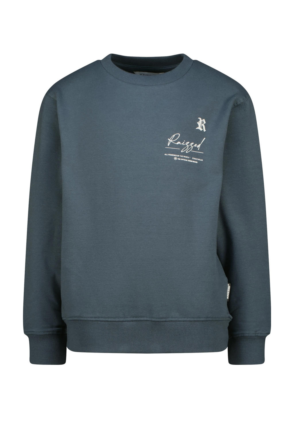Blauwe jongens Raizzed sweater van stretchkatoen met backprint, lange mouwen en ronde hals