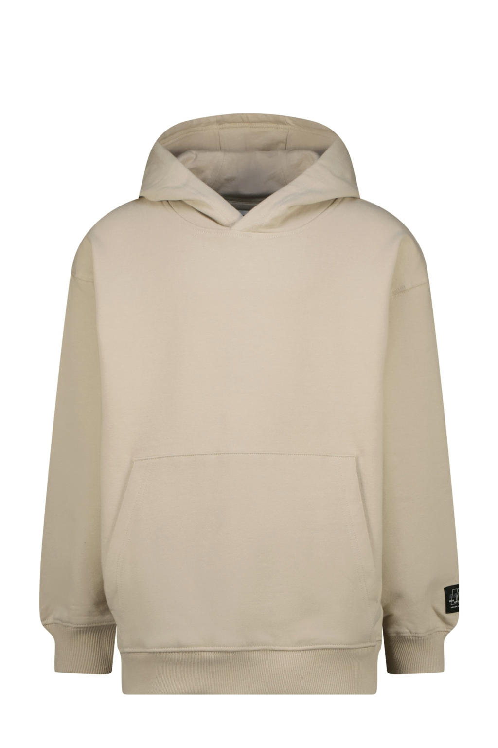Beige jongens Raizzed hoodie van stretchkatoen met backprint, lange mouwen en capuchon