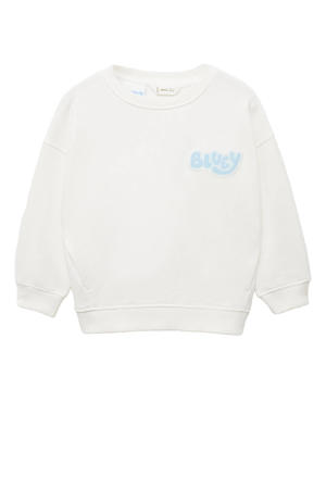 Bluey sweater wit