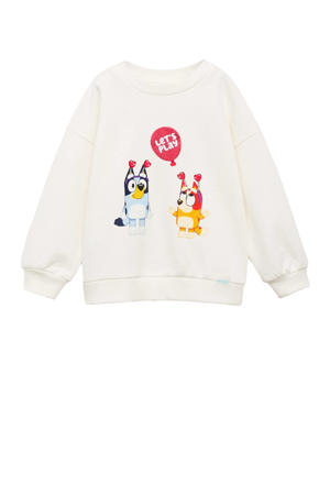 Bluey sweater wit