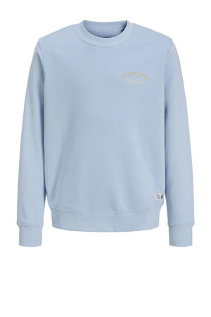 sweater lichtblauw