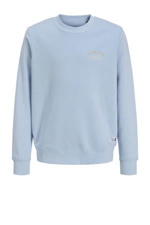 sweater lichtblauw