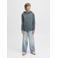 JACK & JONES JUNIOR hoodie grijsblauw
