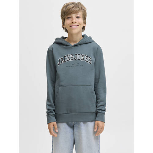 JACK & JONES JUNIOR hoodie grijsblauw afbeelding