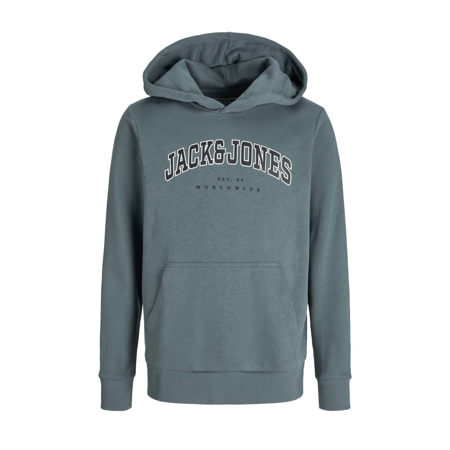 JACK & JONES JUNIOR hoodie grijsblauw
