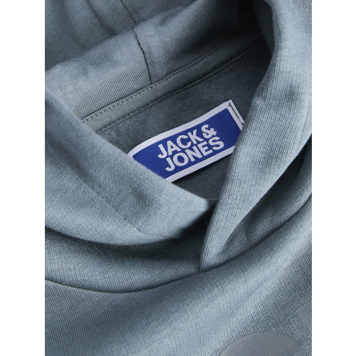 JACK & JONES JUNIOR hoodie grijsblauw afbeelding