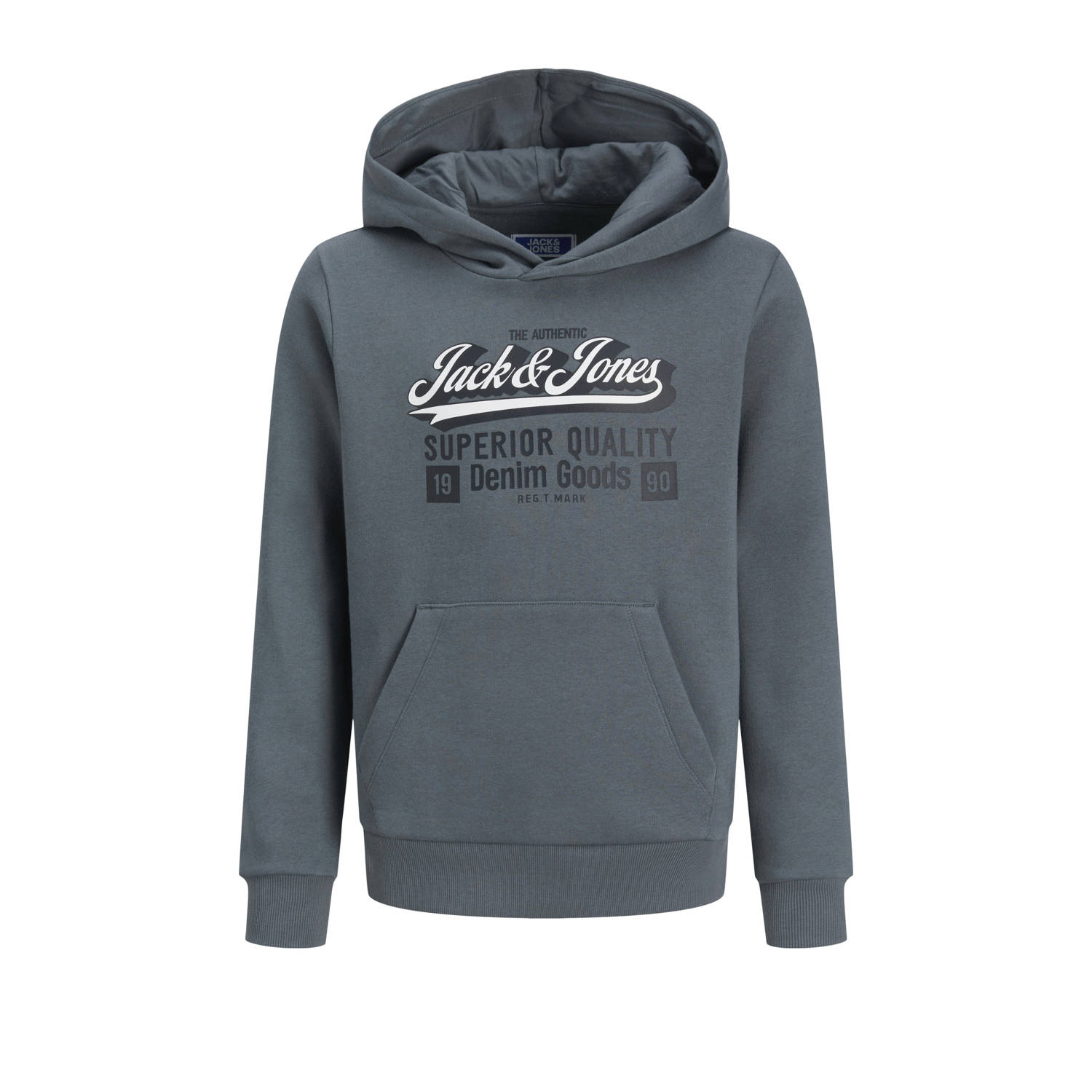 JACK & JONES JUNIOR hoodie grijsblauw
