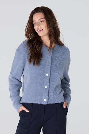 cardigan blauw gebreid