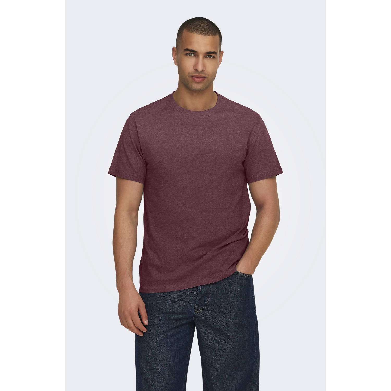 ONLY & SONS regular fit T-shirt ONSMAX aubergine