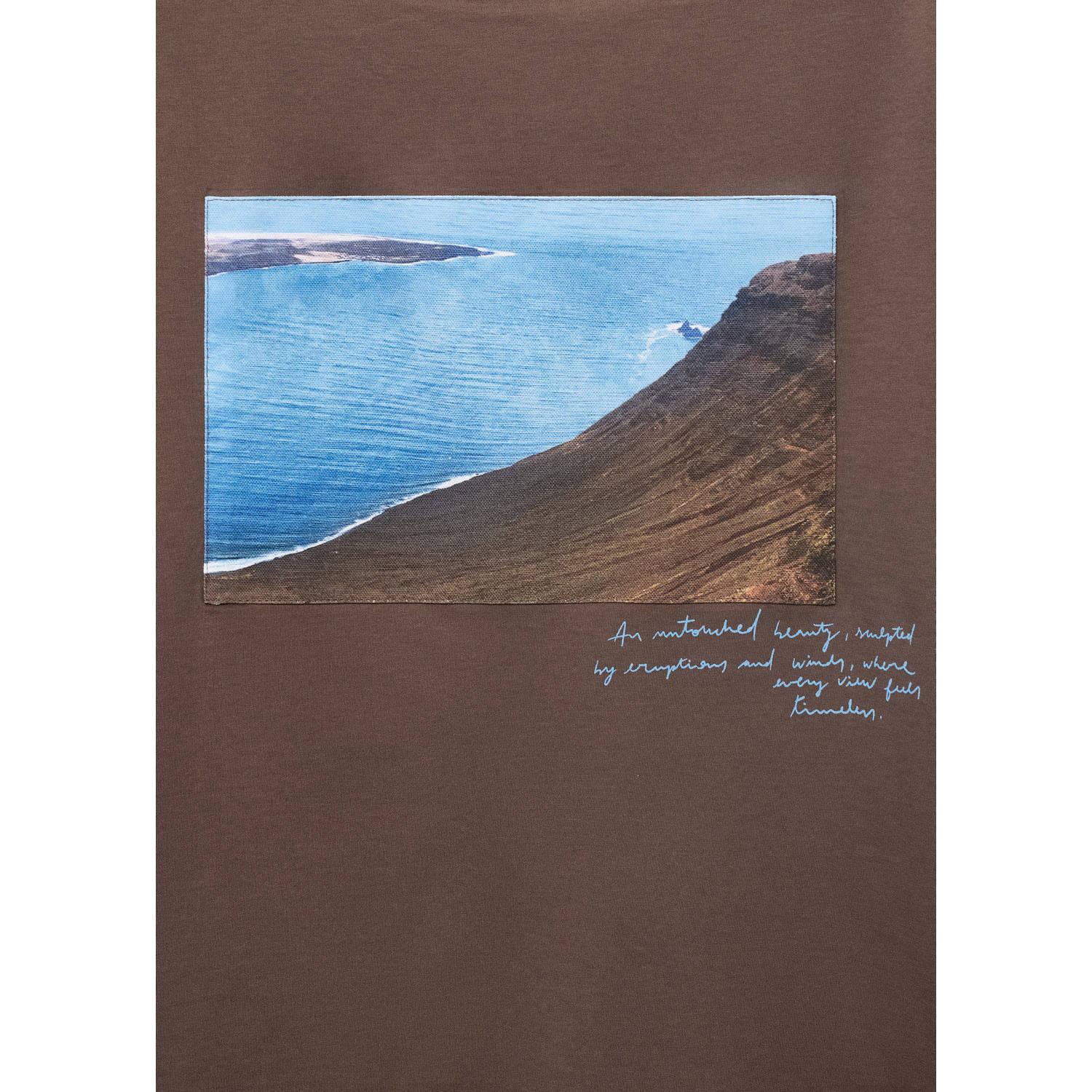 Mango Man T-shirt bruin