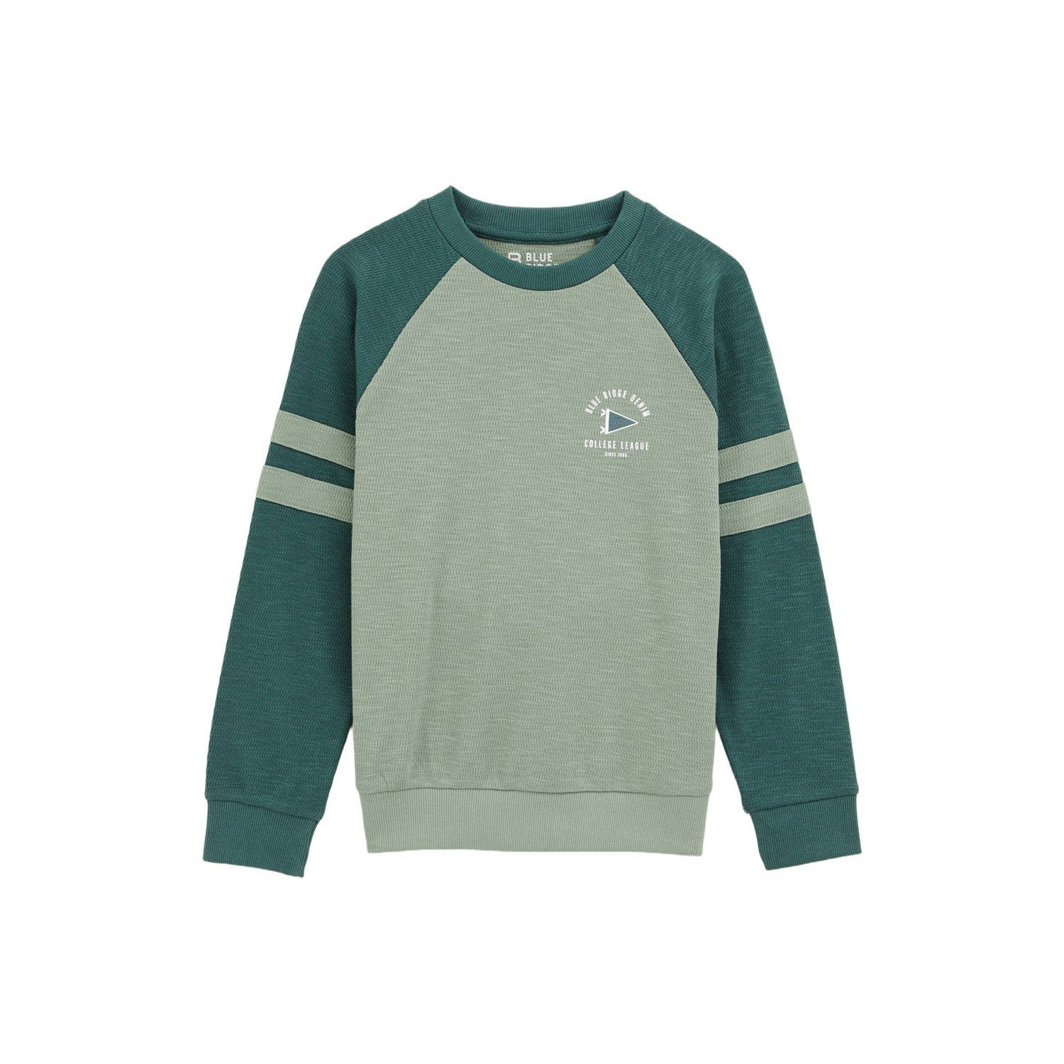 WE Fashion sweater groen