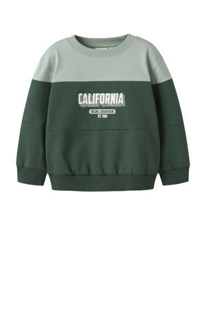 sweater groen