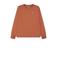 Levi's longsleeve oranjebruin