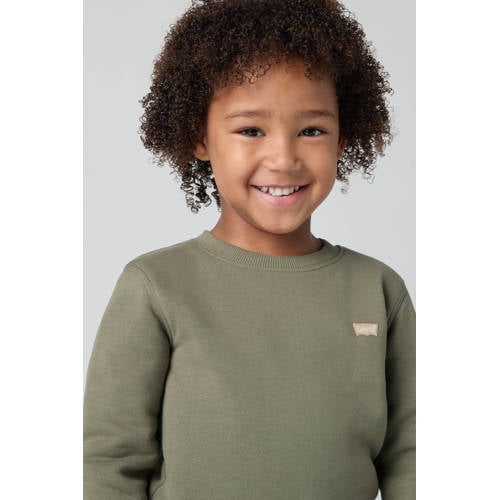 Levi's sweater groen afbeelding