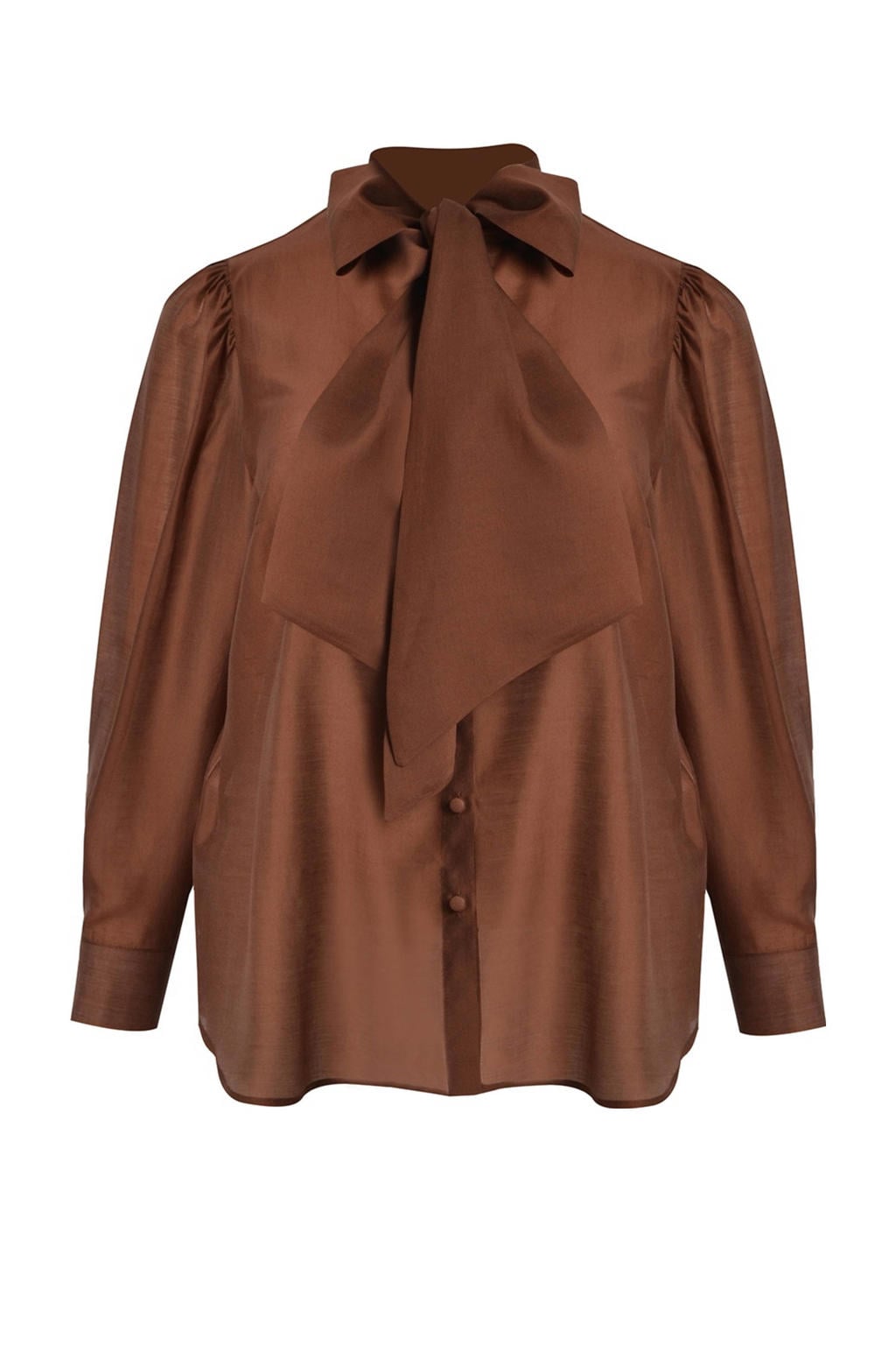 Bruine dames Mat Fashion blouse van lyocell met effen, lange mouwen, klassieke kraag en knoopsluiting