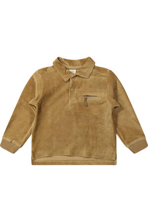 polo bruin