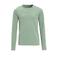 Anytime longsleeve lichtgroen