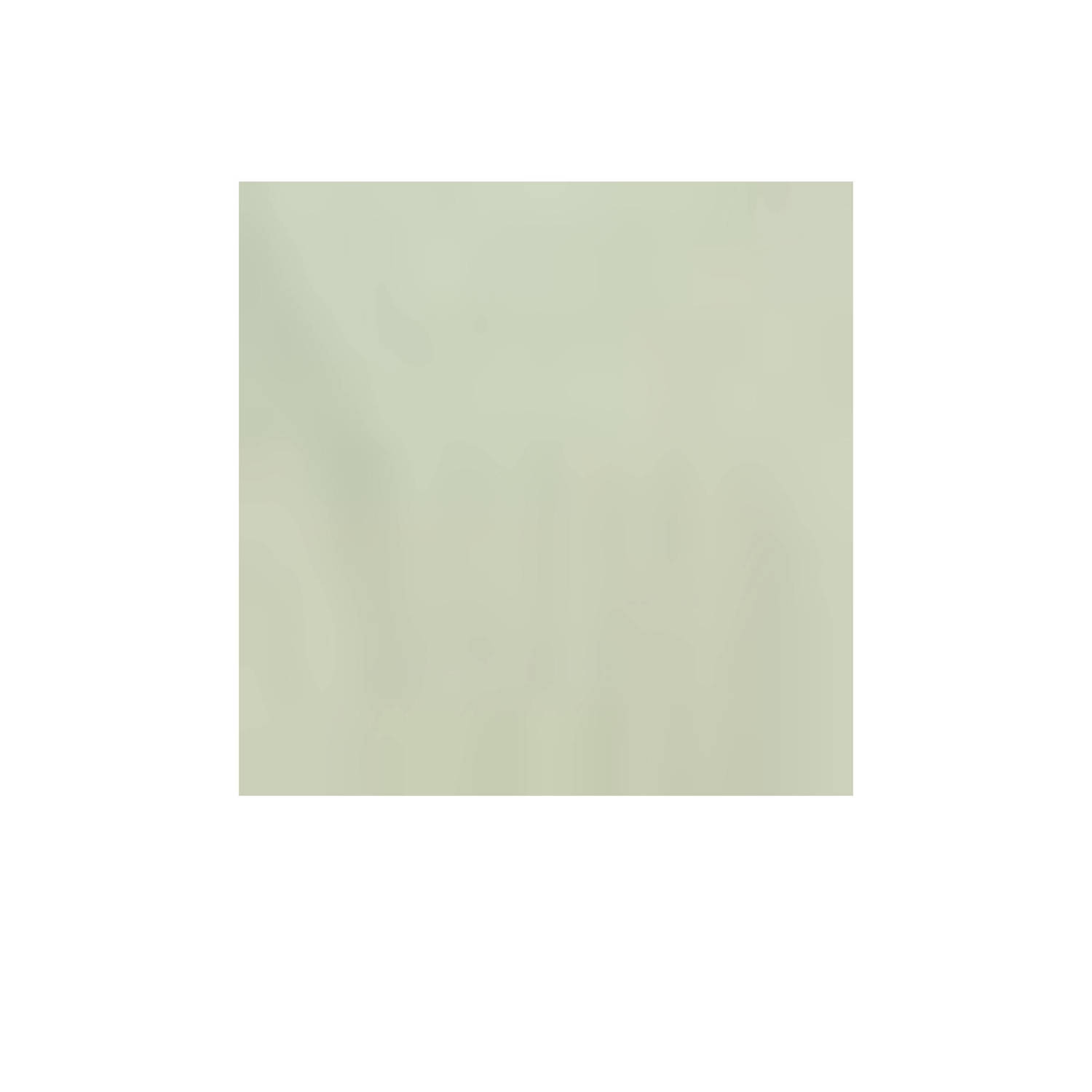America Today T-shirt lichtgroen
