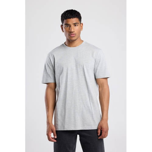America Today regular T-shirt grijs afbeelding