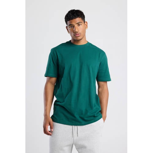 America Today regular T-shirt groen afbeelding