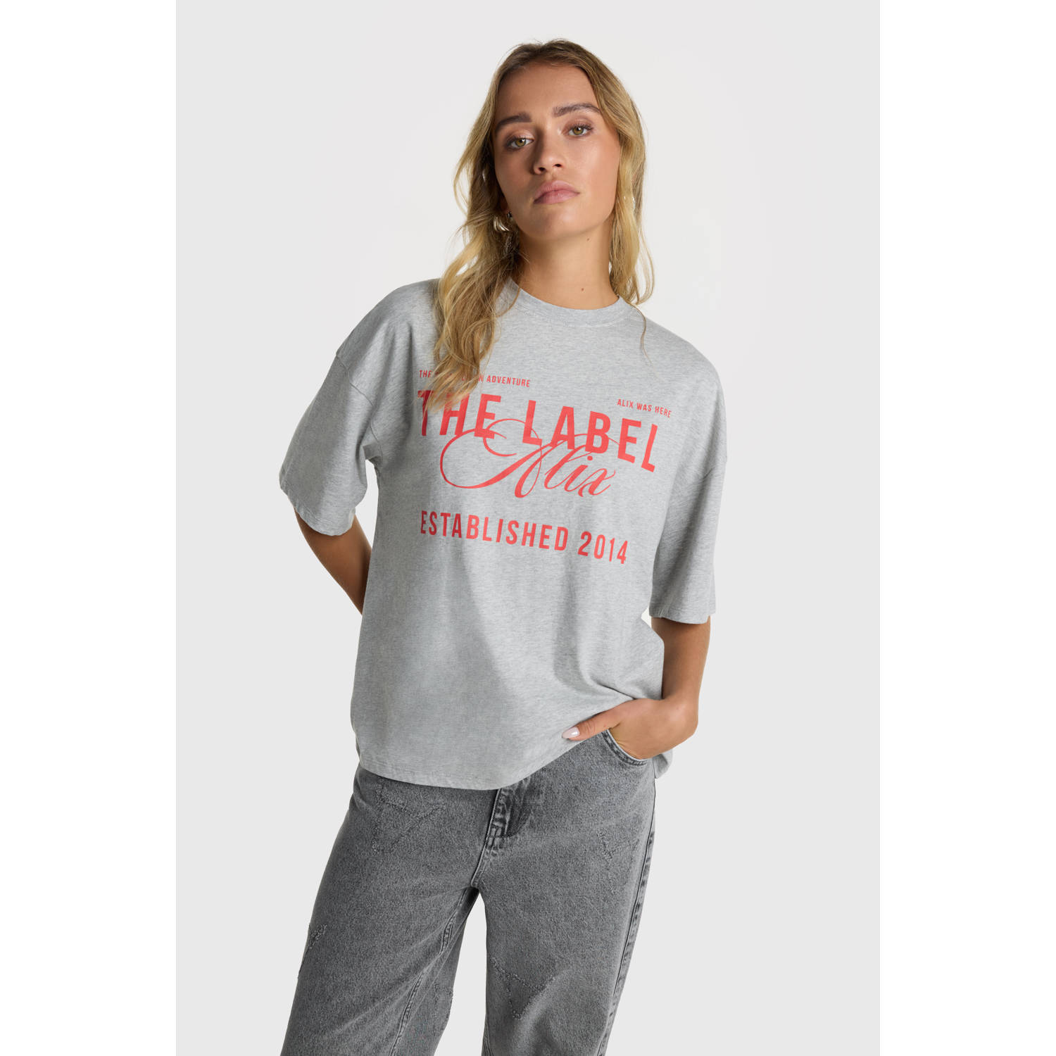 ALIX THE LABEL Dames Tops & T-shirts Ladies Knitted The Label T-shirt Lichtgrijs