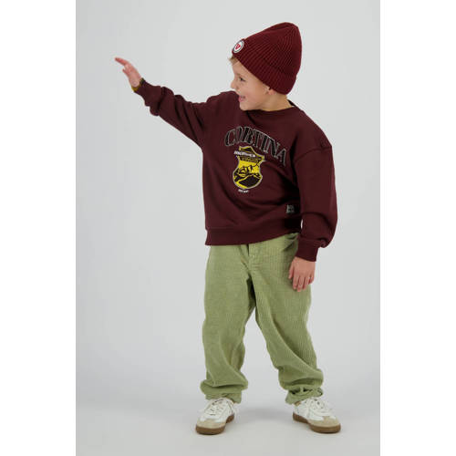 Vingino sweater donkerbruin afbeelding