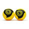 Spikeball  Pro bal
