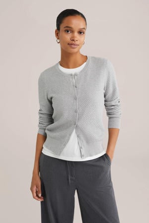 gebreid vest lichtgrijs