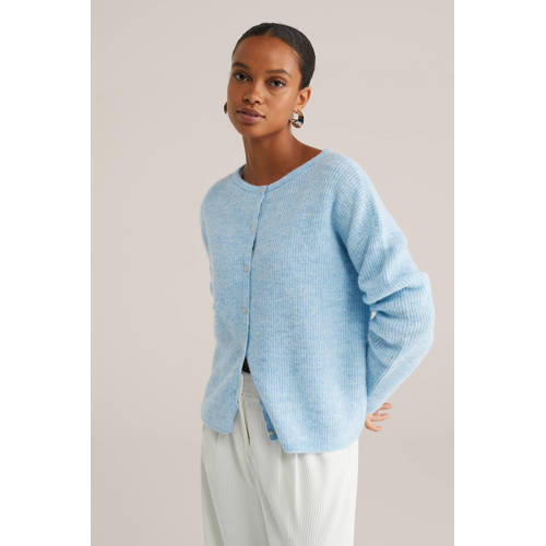 WE Fashion vest fijn gebreid lichtblauw afbeelding