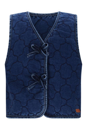 gilet blauw