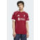 adidas Performance Senior Liverpool FC voetbalshirt Thuis