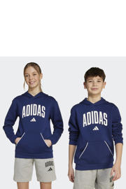 thumbnail: adidas Sportswear hoodie blauw