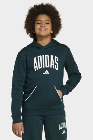hoodie groen