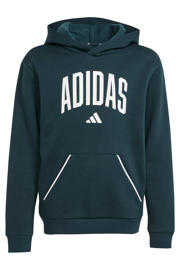 thumbnail: Groene jongens en meisjes adidas Sportswear hoodie met printopdruk, lange mouwen en capuchon
