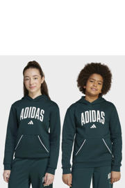 thumbnail: adidas Sportswear hoodie groen