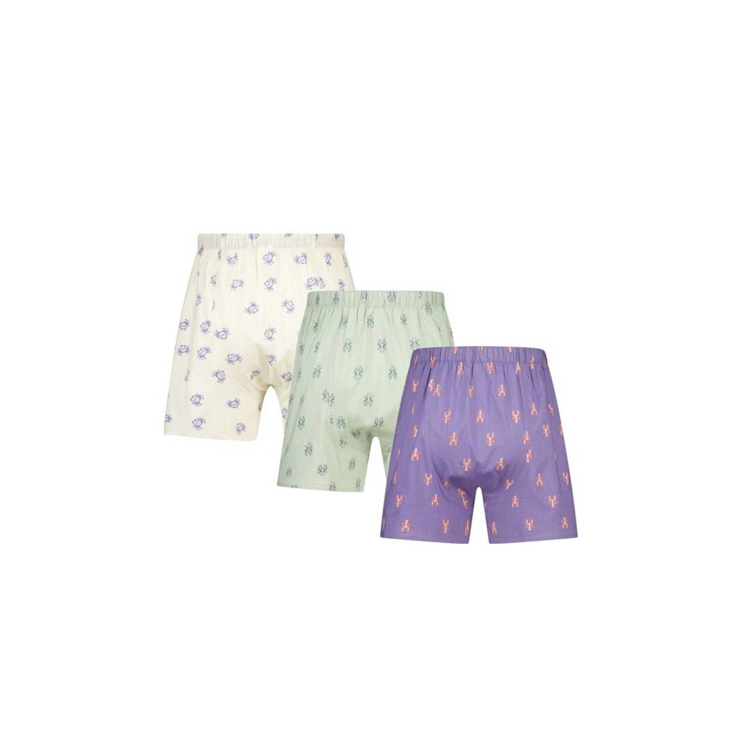 America Today wijde boxershort Thomas (set van 3)