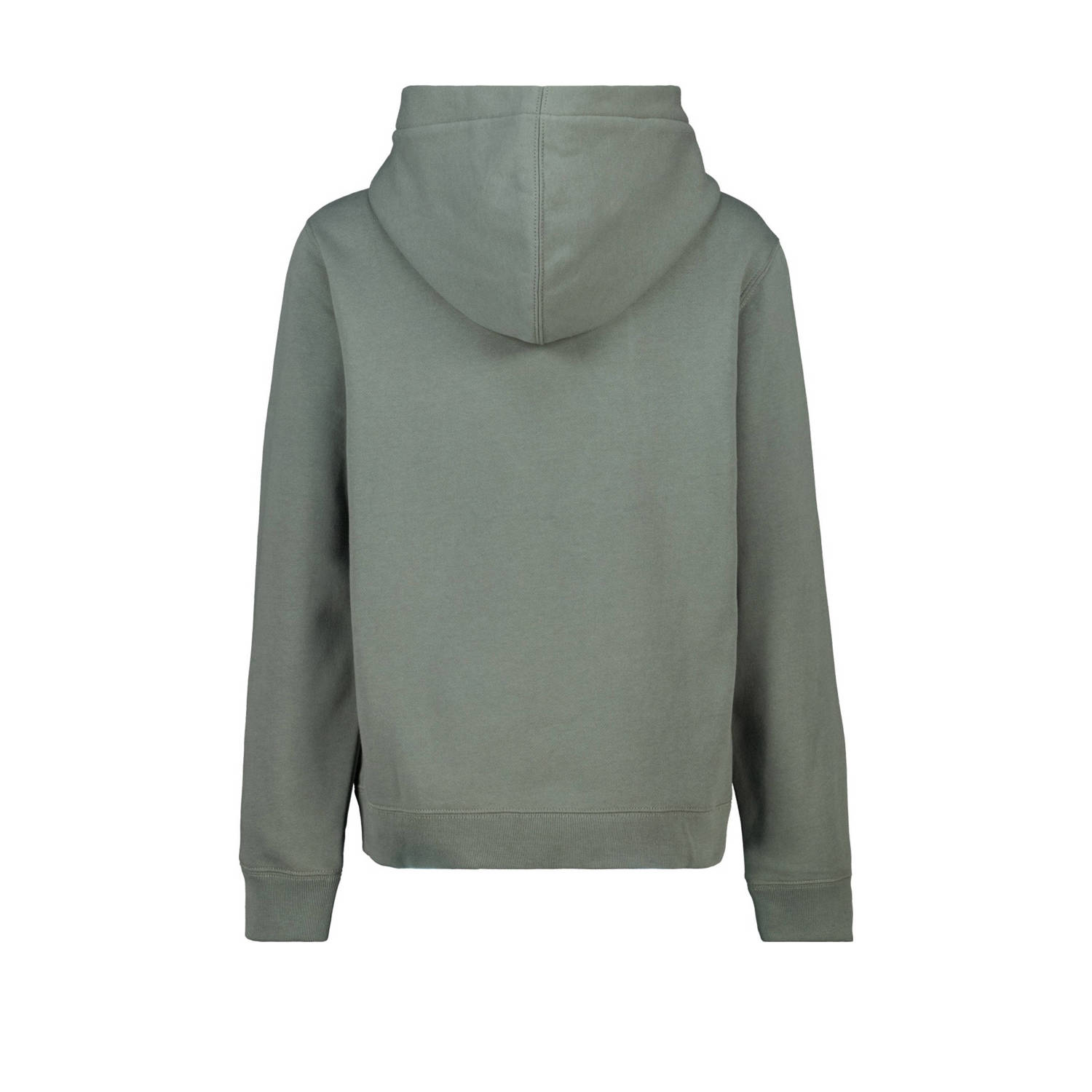 America Today hoodie groen