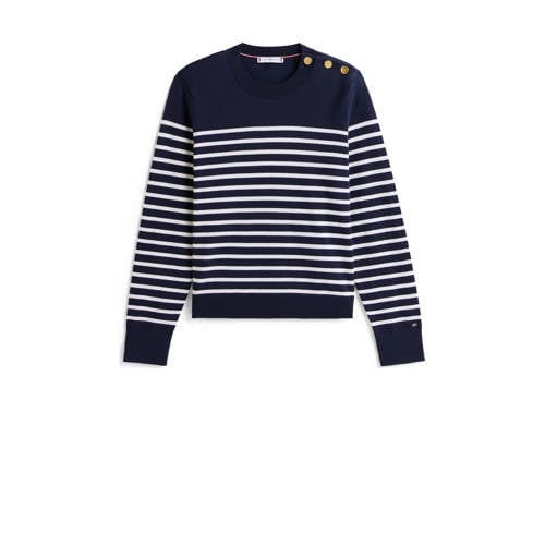 Tommy Hilfiger gestreepte trui marine afbeelding