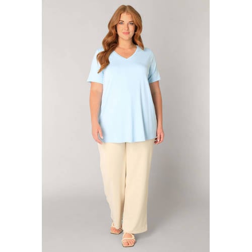 Base Level Curvy T-shirt lichtblauw afbeelding