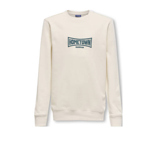 ONLY & SONS JUNIOR sweater ecru afbeelding