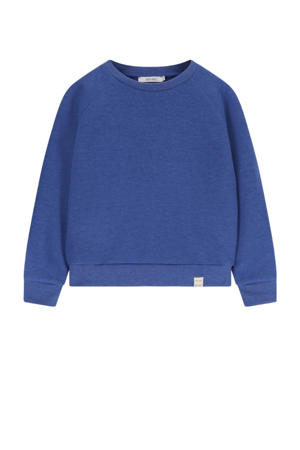 sweater blauw