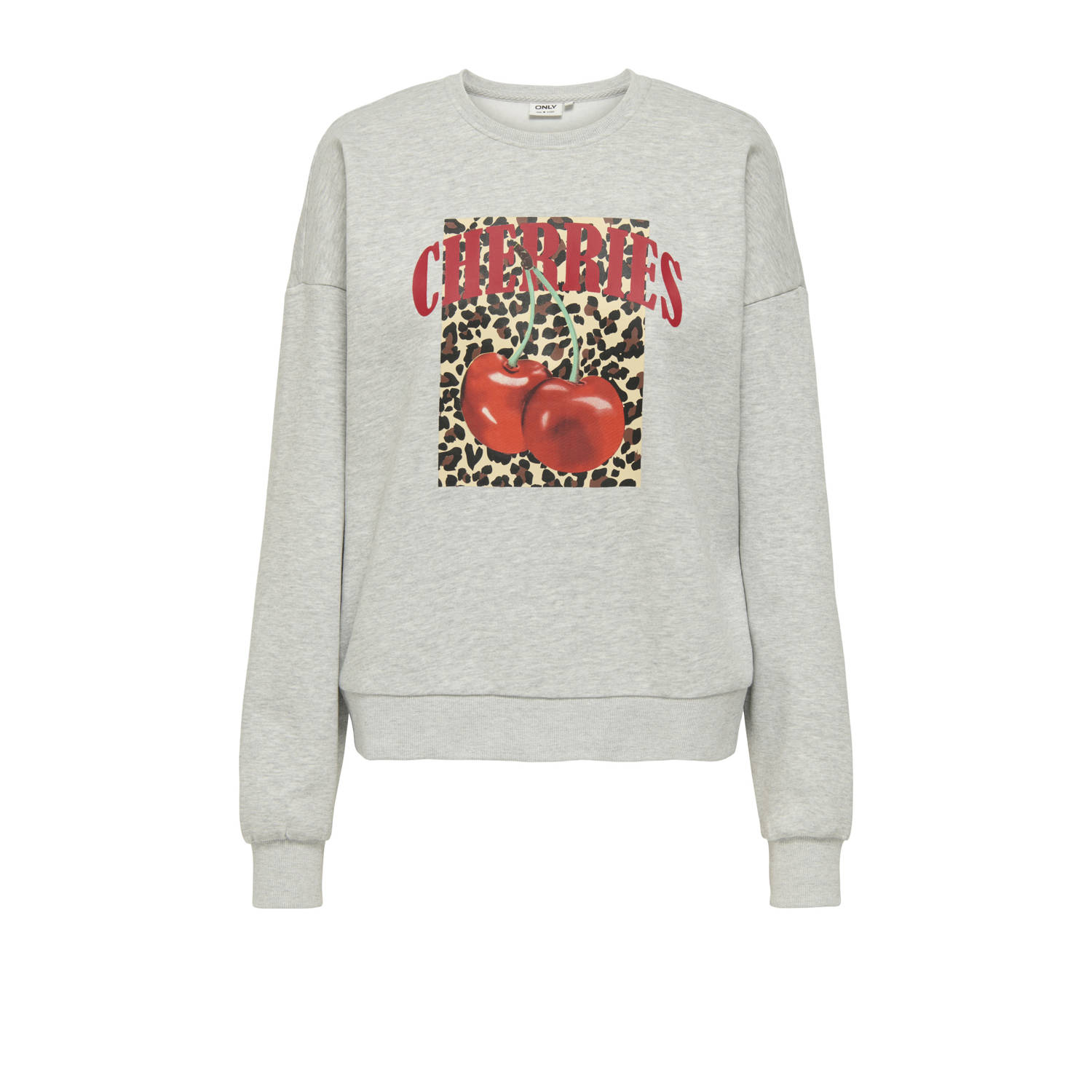 Only Sweatshirt ONLJOLANA L S O-NECK BERRY PRINT CS SWT