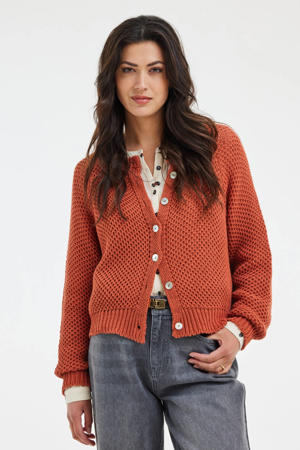 cardigan bruin gebreid