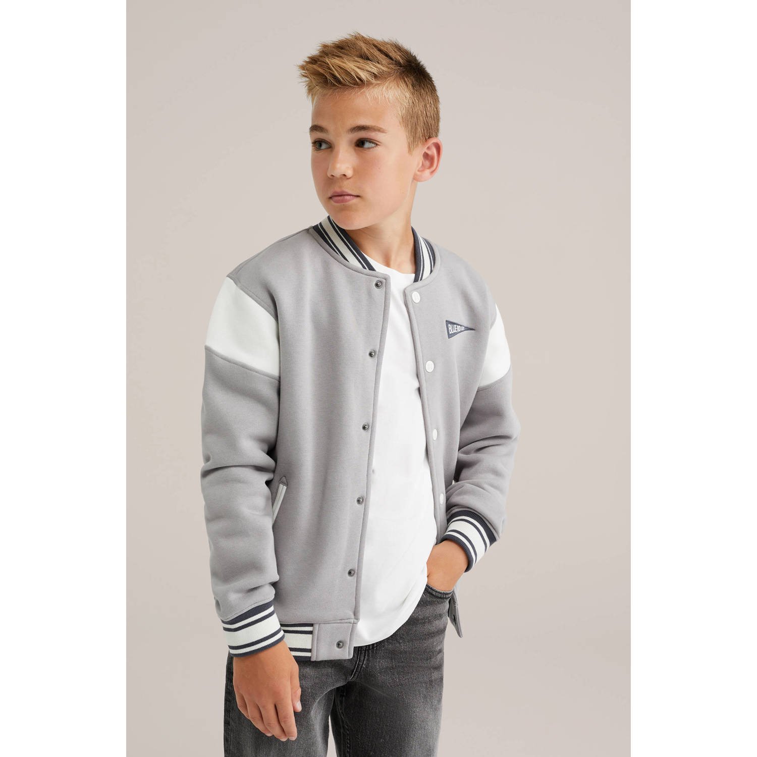 WE Fashion Blue Ridge bomberjack grijs